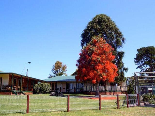 Snowy River Homestead Newmerella Dış mekan fotoğraf
